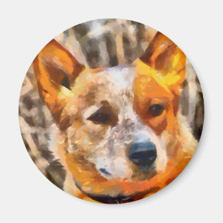 Australian Cattle hund - Red Heeler Magnet