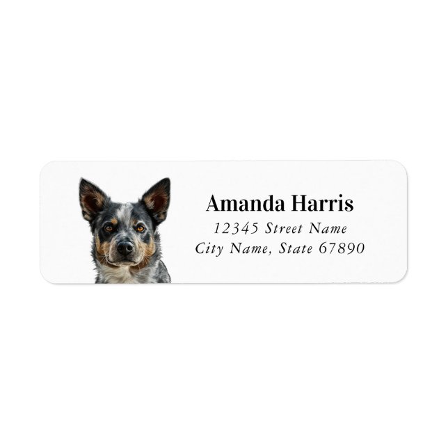 Australian Cattle Hund Returetiketters Returadress Etikett (Framsidan)