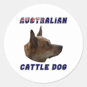 Australian Cattle Hund Runt Klistermärke