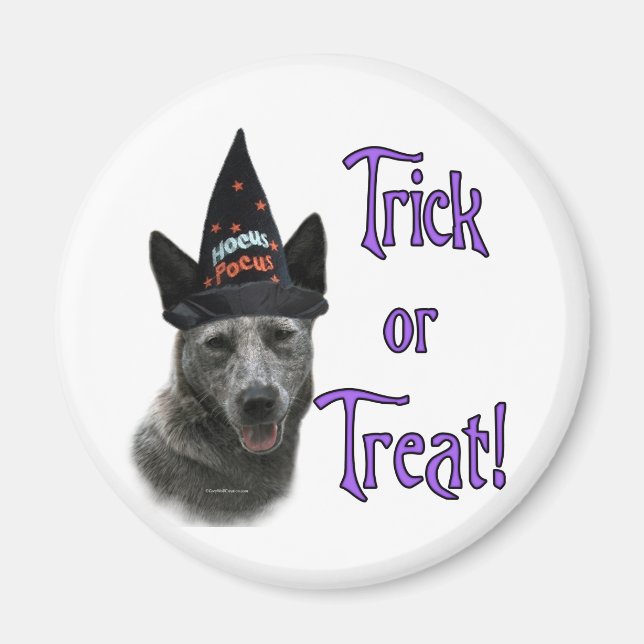 Australian Cattle Hund Trick Magnet (Framsidan)