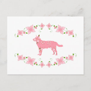 Australian Cattle Hund Vykort