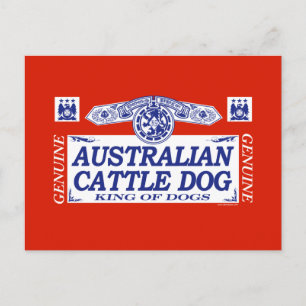 Australian Cattle Hund Vykort