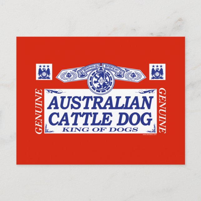 Australian Cattle Hund Vykort (Framsida)