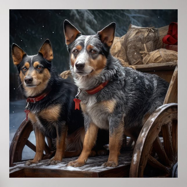 Australian Cattle Snowy Sleigh Juldekan Poster (Framsidan)