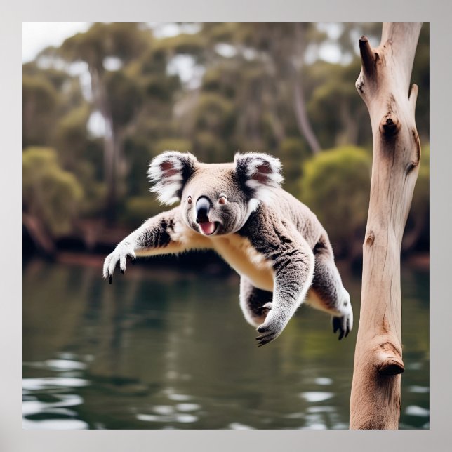 Australian Drop Bear Koala Poster (Framsidan)