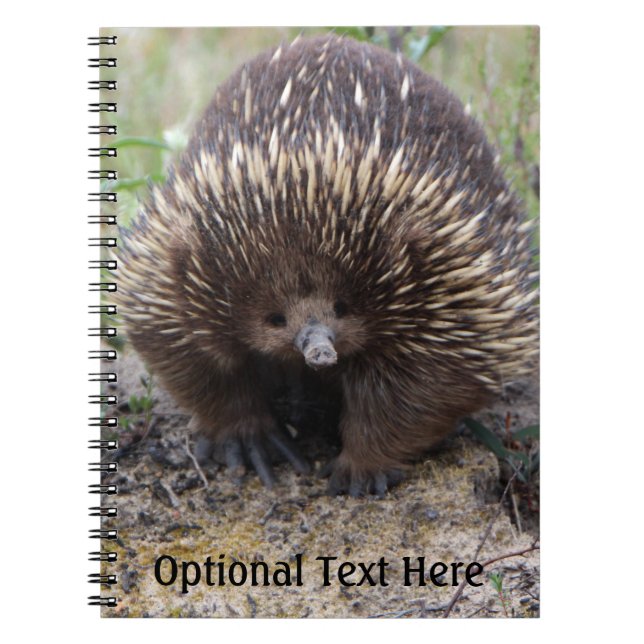 Australian Echidna Cute Animal Photo Anteckningsbok Med Spiral (Framsidan)