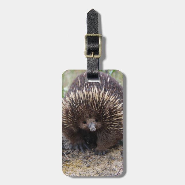 Australian Echidna Cute Animal Photo Bagagebricka (Vertikal Framsida)