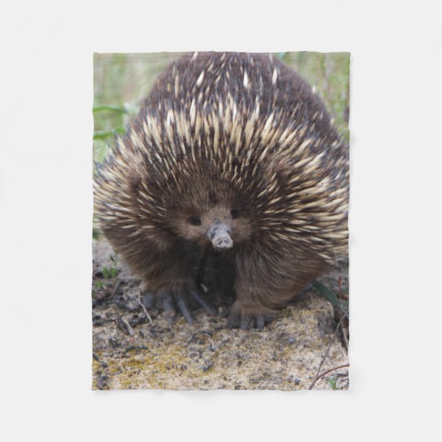 Australian Echidna Cute Animal Photo Fleecefilt (Framsidan)