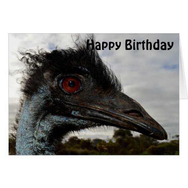 Australian Emu Close, Birthday Card Hälsningskort (Framsidan Horizontal)