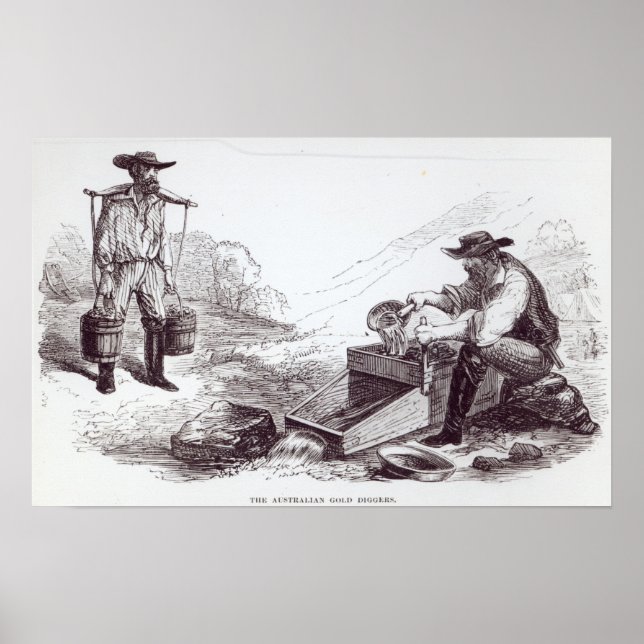 Australian Guld Diggers Poster (Framsidan)
