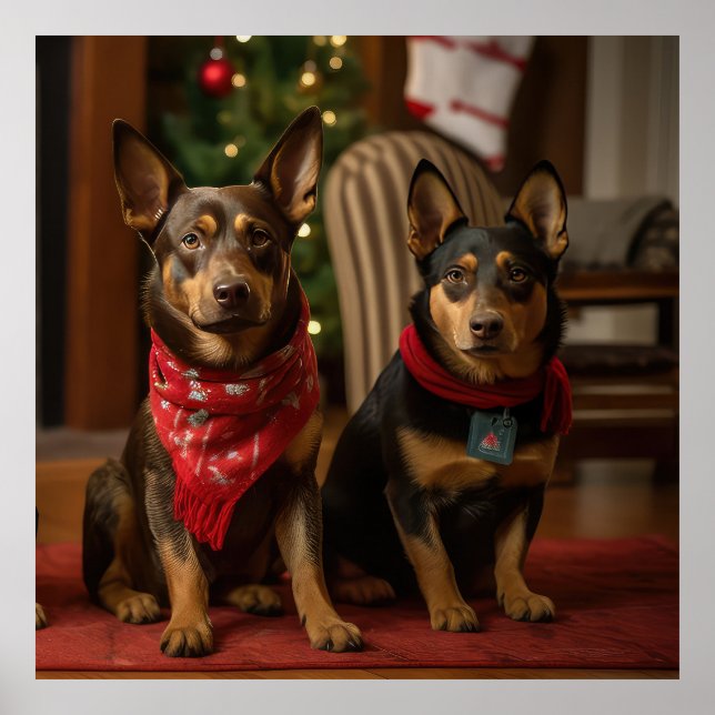 Australian Kelpie efter fireplace jul Poster (Framsidan)