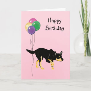 Australian Kelpie, födelsedagsballonger Kort