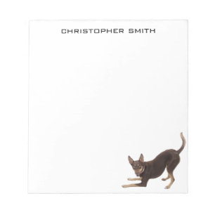 Australian Kelpie Hund Anteckningsblock