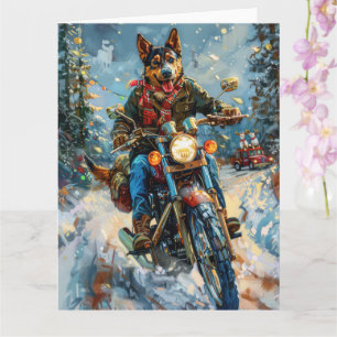 Australian Kelpie Hund Riding Motorcycle jul Kort