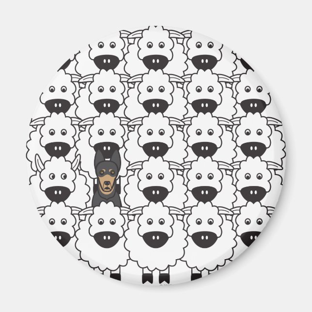 Australian Kelpie i får Magnet (Framsidan)