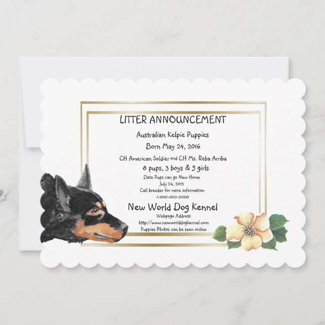 Australian Kelpie Puppies Birth Notice Meddelande (Framsida)