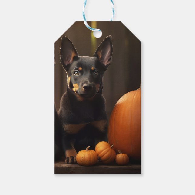 Australian Kelpie Puppy Autumn Delight Pumpkin Presentetikett (Framsidan)