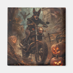 Australian Kelpie Riding Motorcycle Halloween Magnet