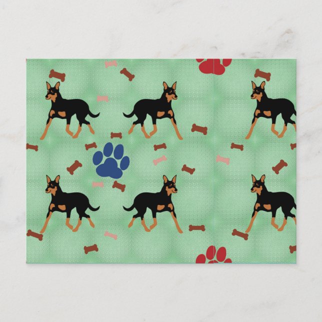 Australian Kelpie Vykort (Framsida)