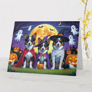 Australian Kelpies Hundar Pumpkin Halloween Funny Kort