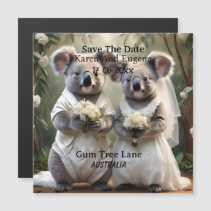 Australian Koala Bear White Bröllop