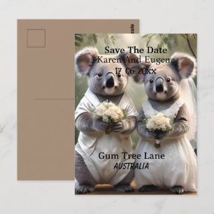 Australian Koala Bear White Bröllop Vykort