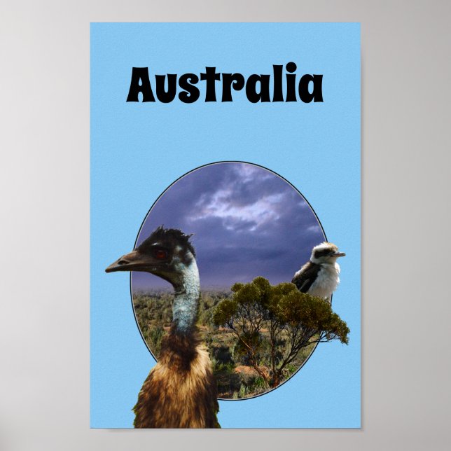 Australian Kookaburra och Emu, Poster (Framsidan)