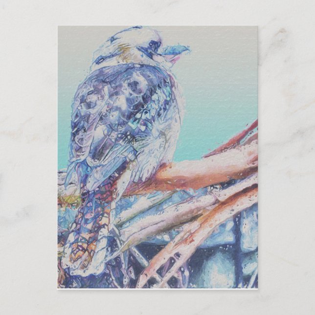 Australian Kookaburra Vykort (Framsida)