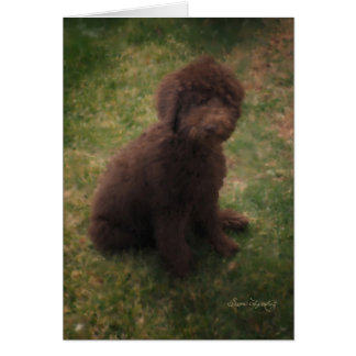 AUSTRALIAN LABRADOODLE HÄLSNINGSKORT