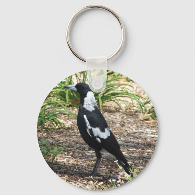 Australian Magpie Nyckelring (Framsida)