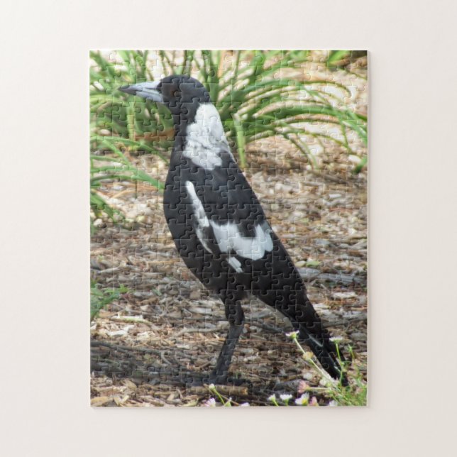 Australian Magpie Puzzle Pussel (Vertikal)