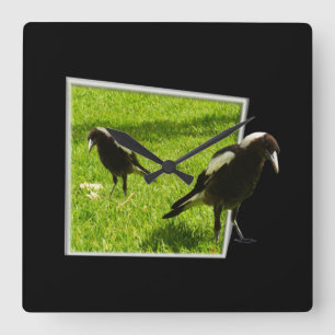 Australian Magpies that Standout Fyrkantig Klocka