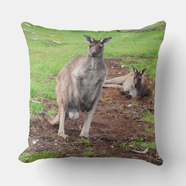 Australian Male Buck Kangaroo Large Throw Cushion. Kudde (Framsida)
