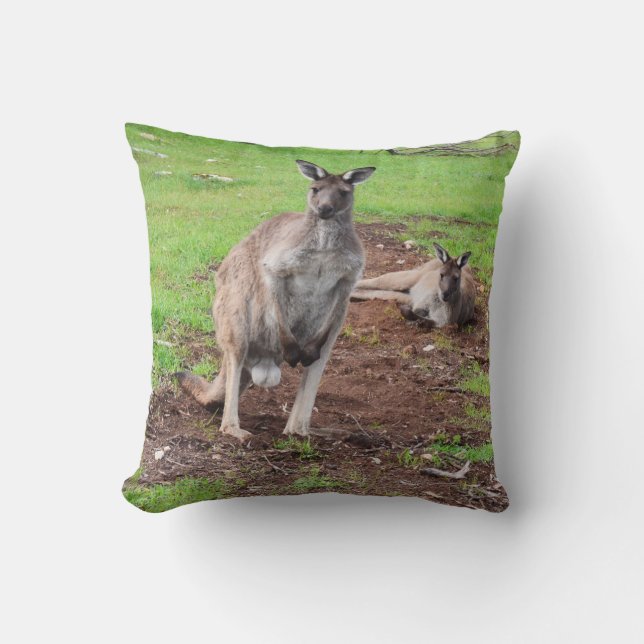 Australian Male Buck Kangaroo, Throw Cushion. Kudde (Framsida)
