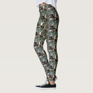 Australian Male Koala Bear on the Move Leggings