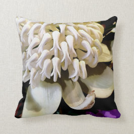 Australian Native Blourintervall nr 4. Kudde