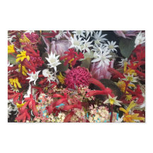 Australian Native Flowers