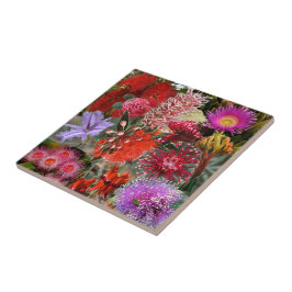 Australian Native Vild Flowers Kakelplatta