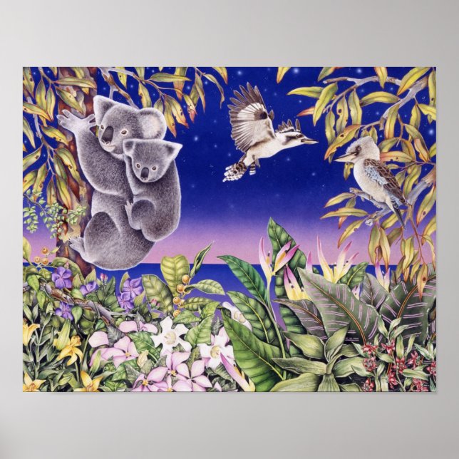 Australian Night Poster (Framsidan)