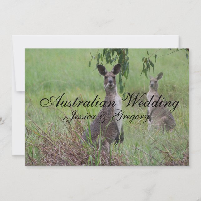 Australian Outback Kangaroos bröllop inbjuden Inbjudningar (Framsida)