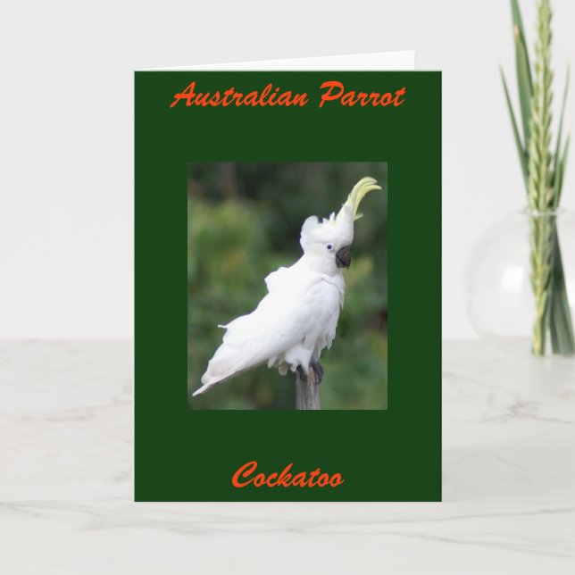 Australian Parrot, Cockatoo Kort (Framsida)