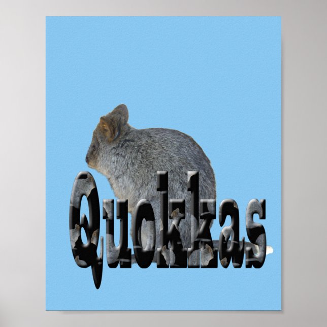Australian Quokka är Namn, Poster (Framsidan)