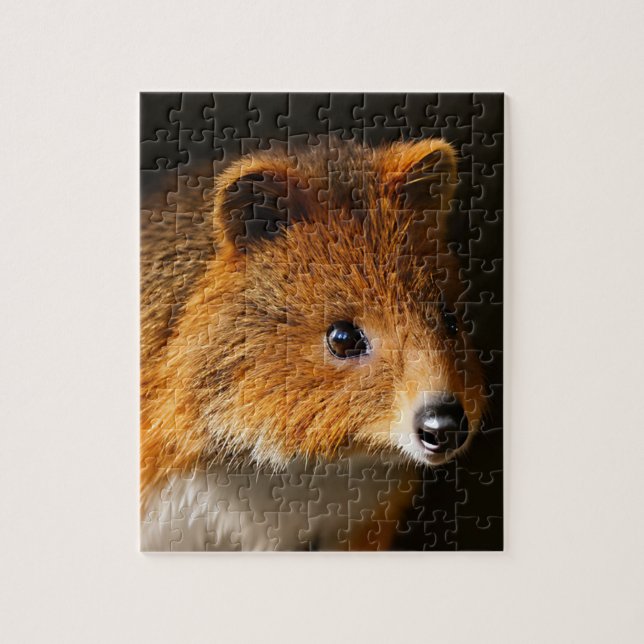 Australian Quokka Porträtt, Jigszawa Puzzle Pussel (Vertikal)