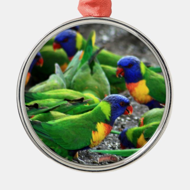Australian Rainbow Lorikeets Julgransprydnad Metall (Framsidan)