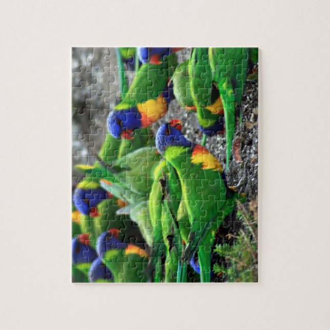 Australian Rainbow Lorikeets Pussel (Vertikal)