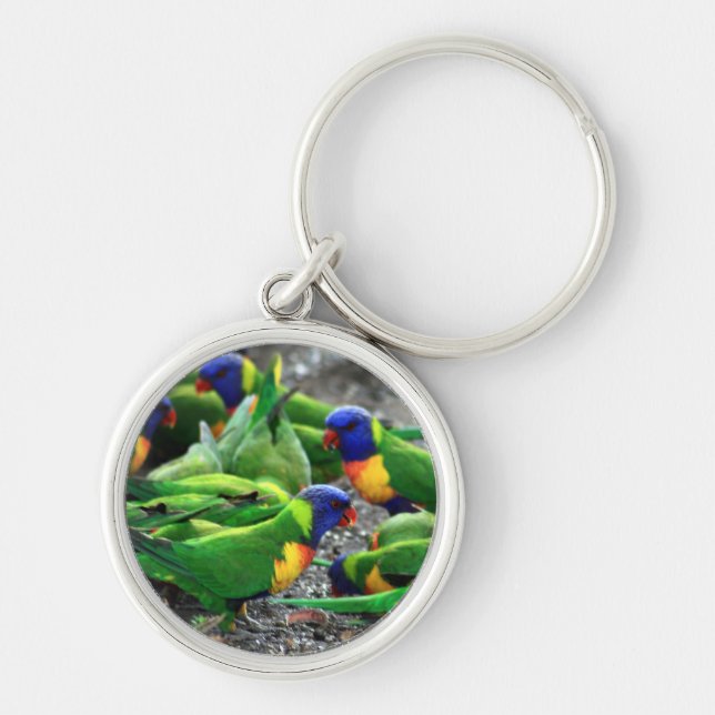 Australian Rainbow Lorikeets Rund Silverfärgad Nyckelring (Framsidan)