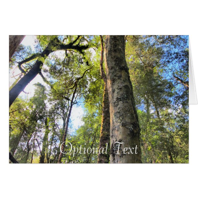 Australian Rainforest Eucalyptus Gum Träd Hälsningskort (Framsidan Horizontal)