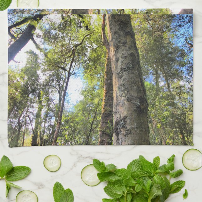 Australian Rainforest Eucalyptus Gum Träd Kökshandduk (Vikta)