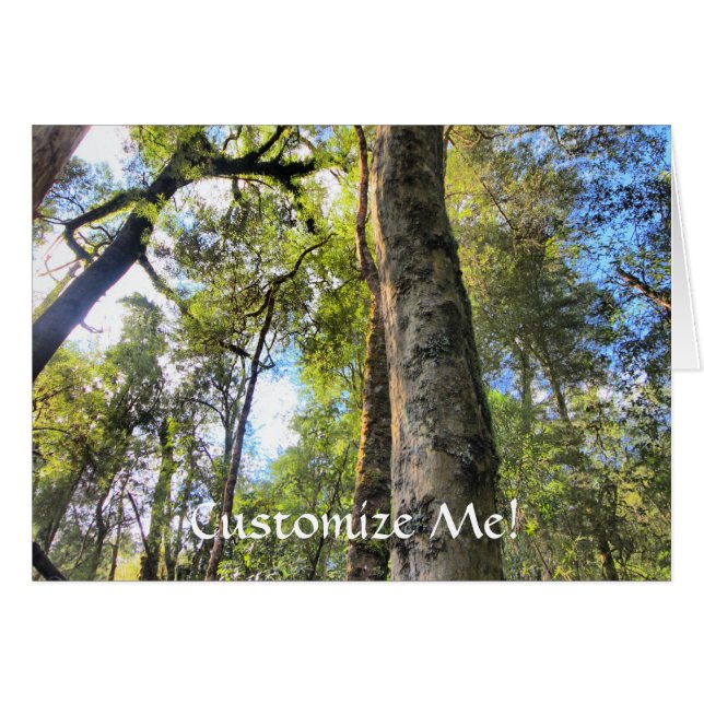 Australian Rainforest Eucalyptus Gum Träd OBS Kort (Framsidan Horizontal)