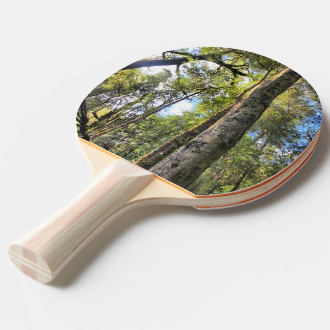 Australian Rainforest Eucalyptus Gum Träd Pingisracket (Frontvinkel)